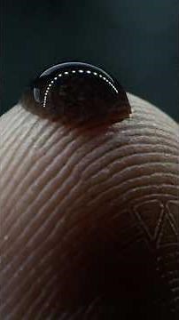 charmante infection alien