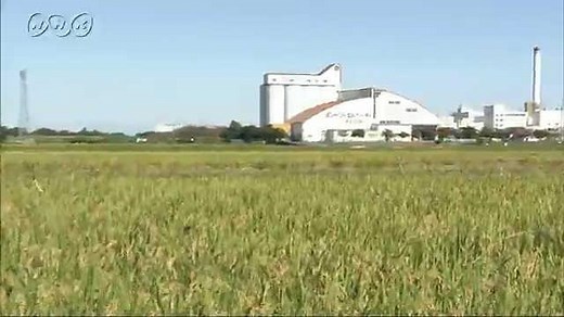 カントリーエレベーターのしくみ | NHK for School