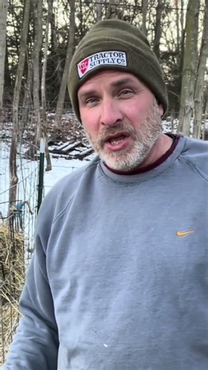 Caught in the Act! #farm #minks #predator