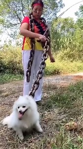 Funny Super Smart Mom and Son P3 | BPX Drawing Kids