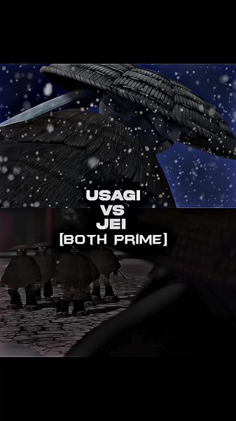 Usagi vs Jei: Battle of the TMNT Characters