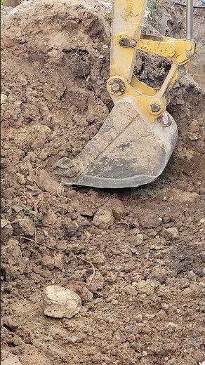 Bucket Excavator Is Working | Bucket Excavator in Motion: Incredible Digging Capabilities.#shorts