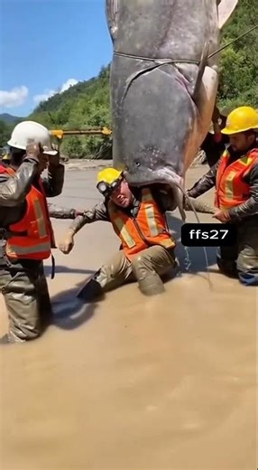 Pulled From the Catfish 😱 Mud Rescue Gone Wrong 😨 #miners #rescue #reallife