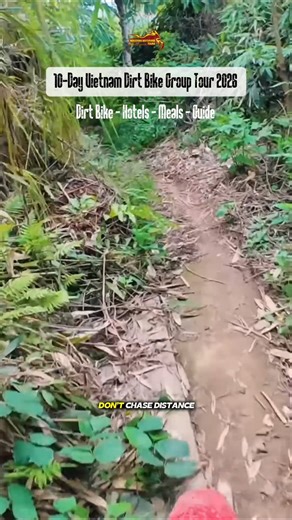 Real riders explore, not just travel | Vietnam dirtbike tours 2026 The journey isn’t about the miles — it’s about the moments. Ride Vietnam’s wild roads, chase adventure, and discover the world the way true bikers do — through exploration. 🌍🔥 🏍 Secure your 2026 ride with Indochina Motorbike Tours 📩 sales@indochinamotorbiketours.com | 📞 84 904 124 997 | 🌐 indochinamotorbiketours.com #IndochinaMotorbikeTours #IndochinaDirtbikeTours #VietnamOffRoad #AdventureVietnam #RideVietnam #ExploreIndoc