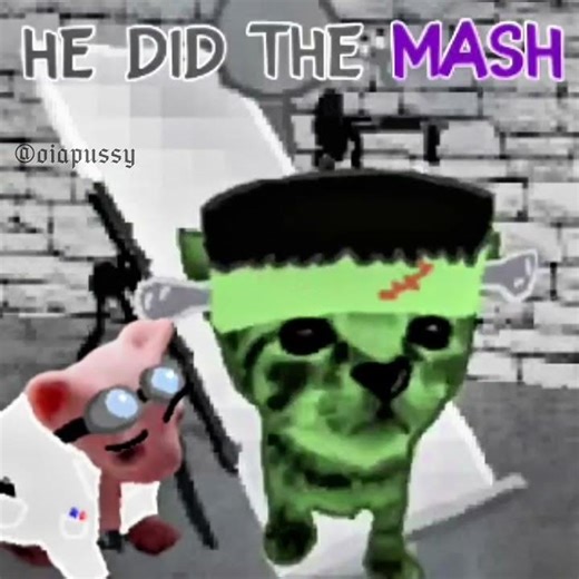 Cat Halloween Dance 🎃