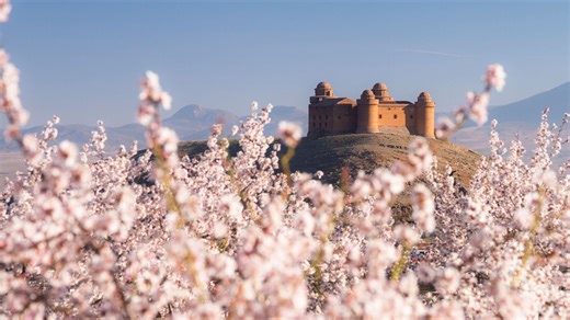 【Linux命令小课堂】第6课：问问我是谁？who, whoami 和 id 命令