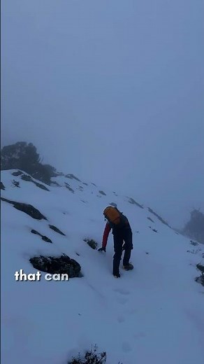 A Unique Australian Mountaineering Experience - Mount Buller