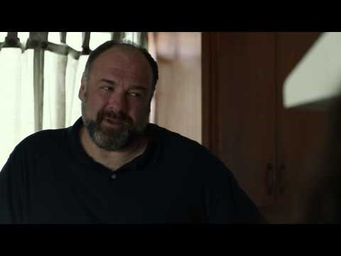 Enough Said (2013) Clip - Julia Louis-Dreyfus and James Gandolfini