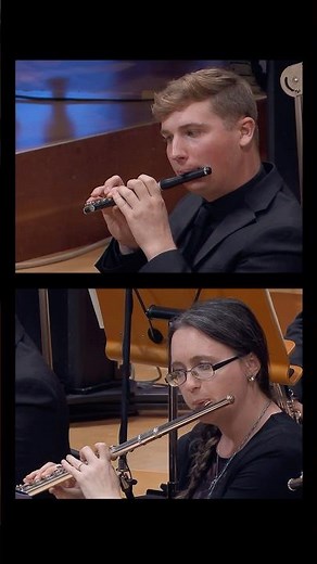 A carnival of sound in Stravinsky's Petrushka