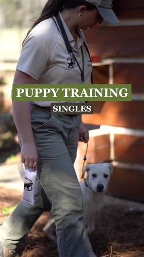 4.5K views · 37 reactions | Tuesday Training Tip | Singles: Introduce...