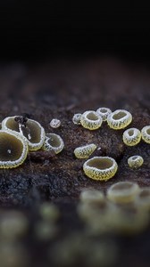 10K views · 3K reactions | a surprisingly successful moment of macro...