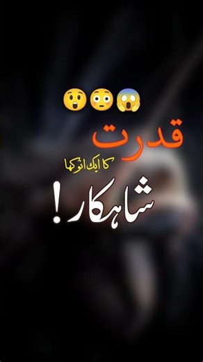 Meet The Angler fish amazing Wild life #anglerfish #nature #animal #wildlife #shortsfeed