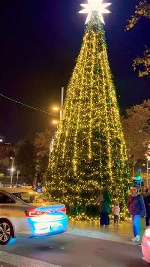 🔥Barcelona Christmas 🎄 lights 4k walk 🦋🌹🦋#navidad #chirstmas #barcelona #catalunya #españa #fyp