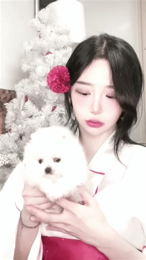 새로운 가족을 소개합니다🐻‍❄️🤍