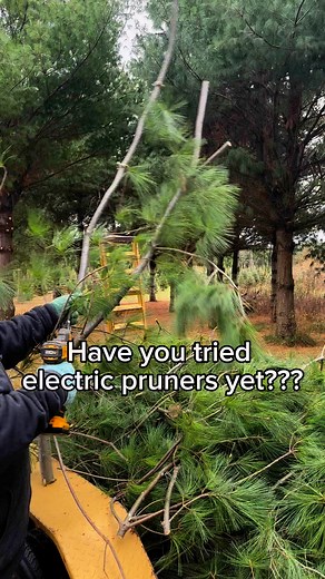 Consensus on our farm is that these things are magic! When your job involves clipping all day, it’s amazing to “take a break” with electric pruners. We used a few pairs this past Christmas season and they made a difference for sore hands. These videos are from November cutting boughs to make wreaths, but the same clippers we’re using for field cleanup now!Have you tried electric pruners/clippers yet? | Country Side Trees