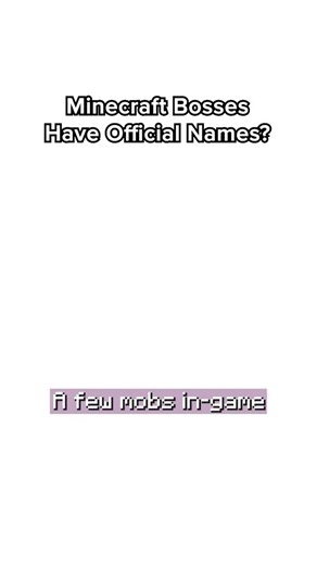 Retro Gaming Now on Instagram: "Did you know the names of these Minecraft bosses? #minecraft #gaming #minecraftlore #gamingclips #minecraftgaming"