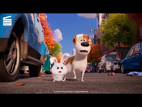 The Secret Life of Pets: Animal Control Pursuit (HD CLIP)