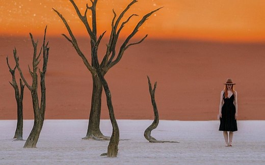 提高审美 摄影作品欣赏