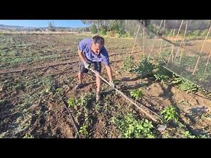 Azada holandesa ARTESANAL