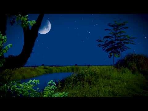 Swamp Sounds at Night - Crickets and Frogs For Deep Sleep and Relaxation | 10 Hours White Noise