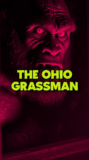 There is a monster lurking in the wilderness of Ohio…Folklore dating back hundreds of years speaks of a hairy humanoid creature very much like a Bigfoot that lives in this region. Does the Ohio Grassman truly exist? Many credible eyewitness sightings over the years suggest that it does, but I’ll leave that up to you to decide. Make sure to leave a comment and let’s get this conversation started! ▶︎ Don’t forget to follow me on Insta: @strange.ology ▶︎ Don’t forget to visit our website HQ, strang
