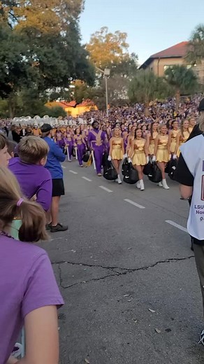 LSU Band #LSU #tigers #football