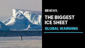 4.6K views · 247 reactions | Scientists studying the world's biggest ice sheet have found it's more susceptible to temperature changes than previously thought and there could be dire consequences if global warming isn't addressed. | ABC News | Facebook