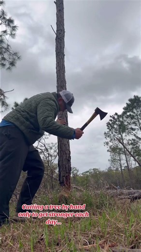 Old Axe vs Charred Tree…. #satisfying #trees