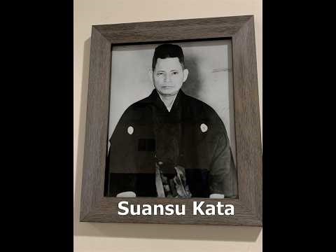 Suansu Multi-directional- Randolph Martial Arts Academy