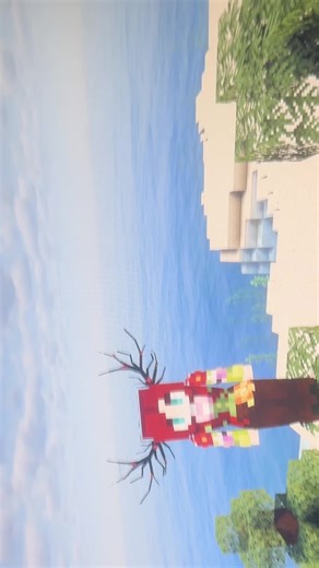 Minecraft Roleplay Partner Search