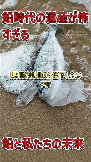 髪の鉛痕跡から学ぶ未来の健康対策 #環境問題 #鉛被曝 #健康意识