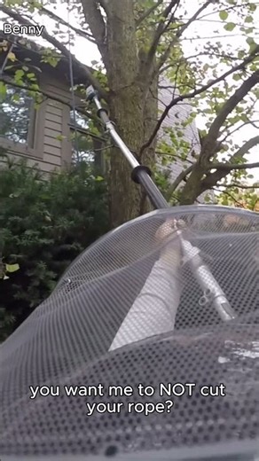 Tree guy tries to be funny😐 #dungrovetreeservice #certifiedarborist #southeastmichigan