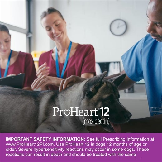 Did you know you must be certified to use Proheart 12 in your clinic? Prescribing info: https://bit.ly/2NKGrv5 | Zoetis