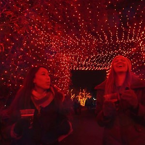 6.4K views · 236 reactions | Tis the season to be jolly! Make your holiday season merry and bright at ZooLights, powered by Pepco. PLAN YOUR VISIT: https://nationalzoo.si.edu/events/zoolights. | Smithsonian’s National Zoo and Conservation Biology Institute | Facebook