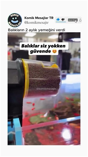 Balıkların 2 aylık yemeğini tekte verdi