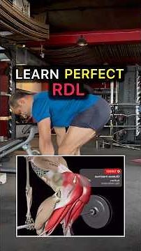 Master the RDL ( Romanian Deadlift )