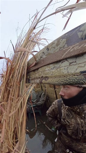 Coastal Brant Hunting in New Jersey: A Thrilling Experience