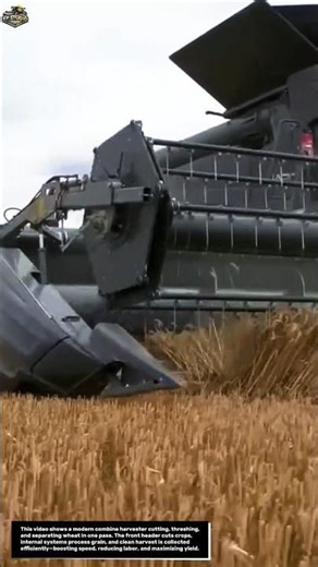 MEGA HARVESTER IN ACTION! WATCH THIS MACHINE DEVOUR A WHEAT FIELD IN SECONDS!