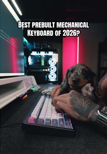 Why the Evo75 Gaming Keyboard is a Must-Have