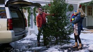 WeatherTech TV Spot, 'Holidays: Pine Needles'