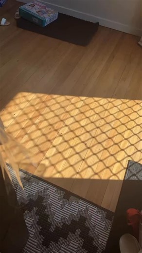 Were you the cool kid with your Walkman and spice girls CD? #countrytruckercaps | Country Trucker Caps