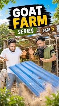 गोट फ़ार्म शेड का काम🔩🛠️ #nageshwarifarms #goatfarm #minivlog