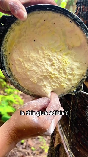 Is This Glue Edible? Exploring Safe Options