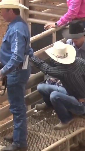 13 reactions | You don't see that every day | Bull Station | Facebook