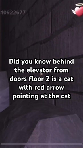 Did you know behind the elevator from doors floor 2 is a cat with red arrow pointing at the cat