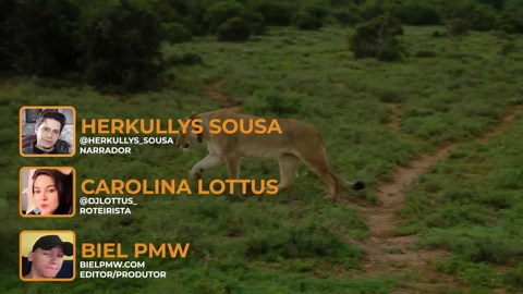 10 Fearsome Predators That Make Nature’s Food Chain Truly Terrifying