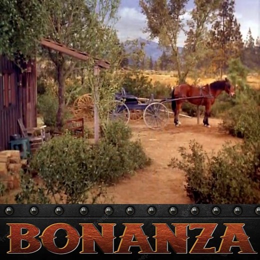 Bonanza Season 7 Episode 22 - Three Brides for Hoss - P1 | Bonanza Forever