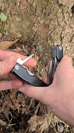 5.5K views · 202 reactions | Tapping a maple tree in early spring for drinking water #outdoors #survival #maplesap #maplewater #survivaltip #selfreliance #maplesyrup #outdoorlife #woods #forest #wildernessliving #maple #foraging | WoodsBound Outdoors | Facebook