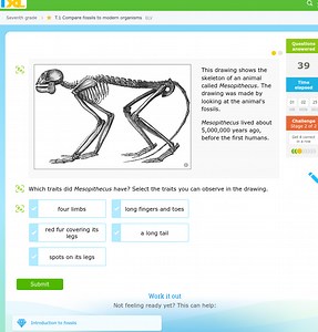 This drawing shows the skeleton of an animal called Mesopithecu... | Filo