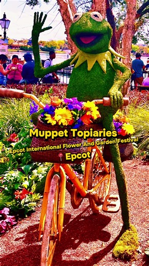 Topiary Thursday at the Epcot International Flower and Garden Festival. Today we are going to see the Muppets at the world showcase in Canada. @krystalssmallworld #creatorsearchinsights #themuppets #epcotflowerandgardenfestival #gardenlife #waltdisneyworld